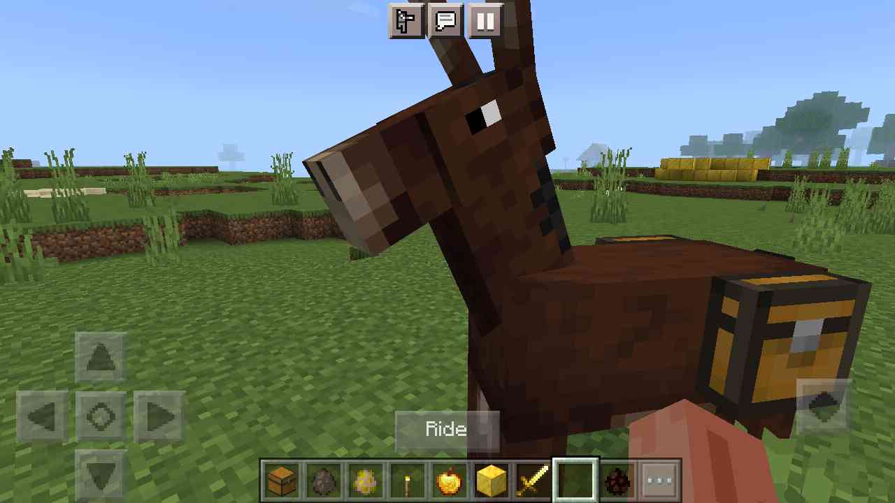 Detail Can You Put A Chest On A Donkey In Minecraft Nomer 51