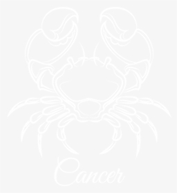 Detail Cancer Zodiac Png Nomer 36