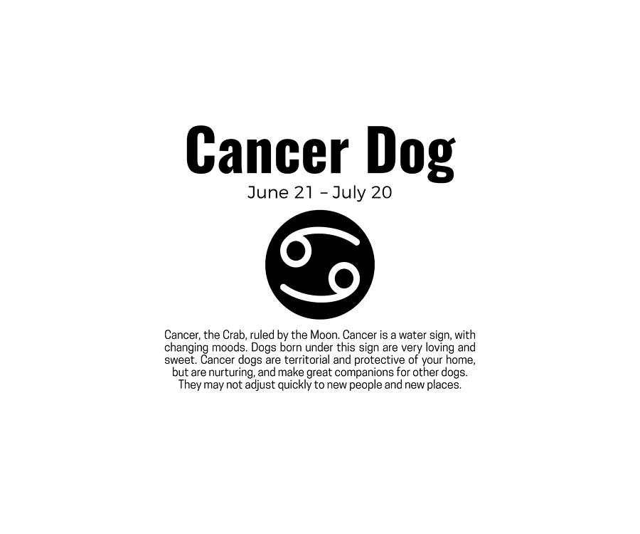 Detail Cancer Zodiac Sign Picture Nomer 42