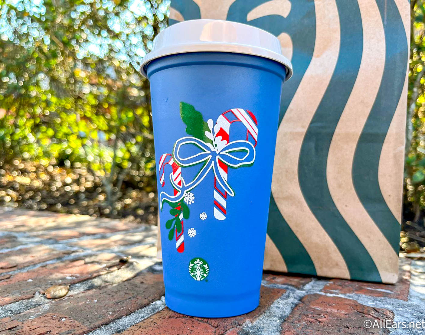 Detail Candy Cane Starbucks Mug Nomer 43
