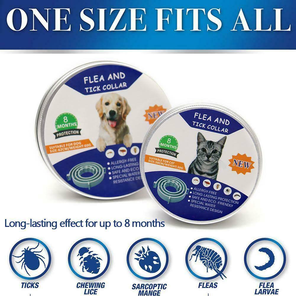 Detail Canes Flea And Tick Collar Nomer 13