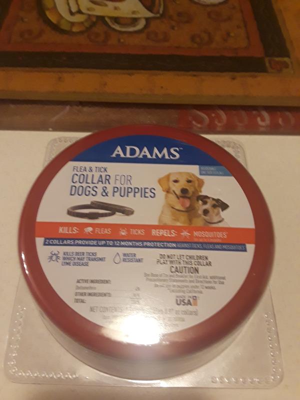 Detail Canes Flea And Tick Collar Nomer 19