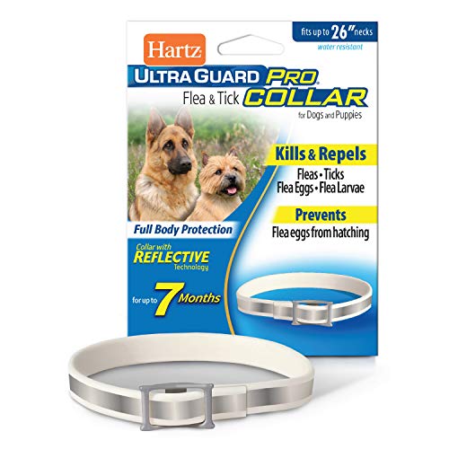 Detail Canes Flea And Tick Collar Nomer 31