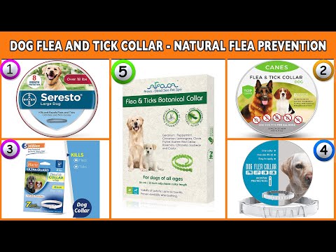 Detail Canes Flea And Tick Collar Nomer 35