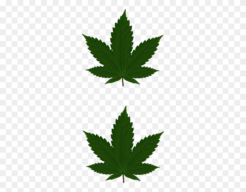 Detail Cannabis Leaf Clipart Nomer 44