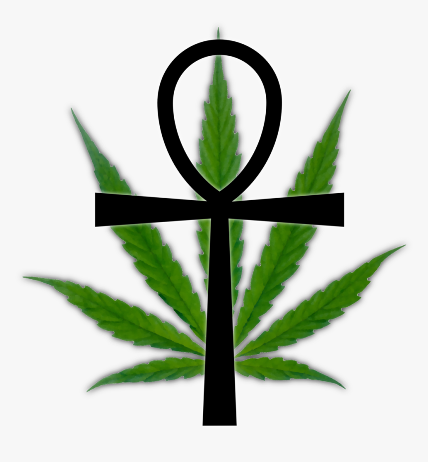 Detail Cannabis Leaf Clipart Nomer 53