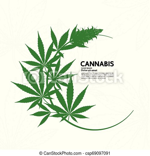 Detail Cannabis Leaf Pictures Nomer 43