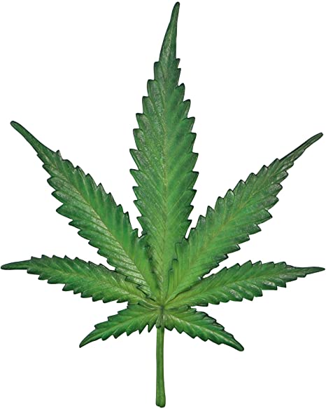 Detail Cannabis Leaf Pictures Nomer 8