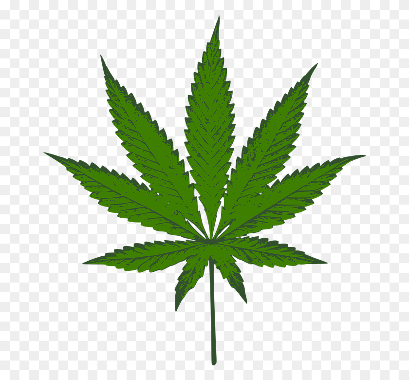 Detail Cannabis Leaf Png Nomer 19