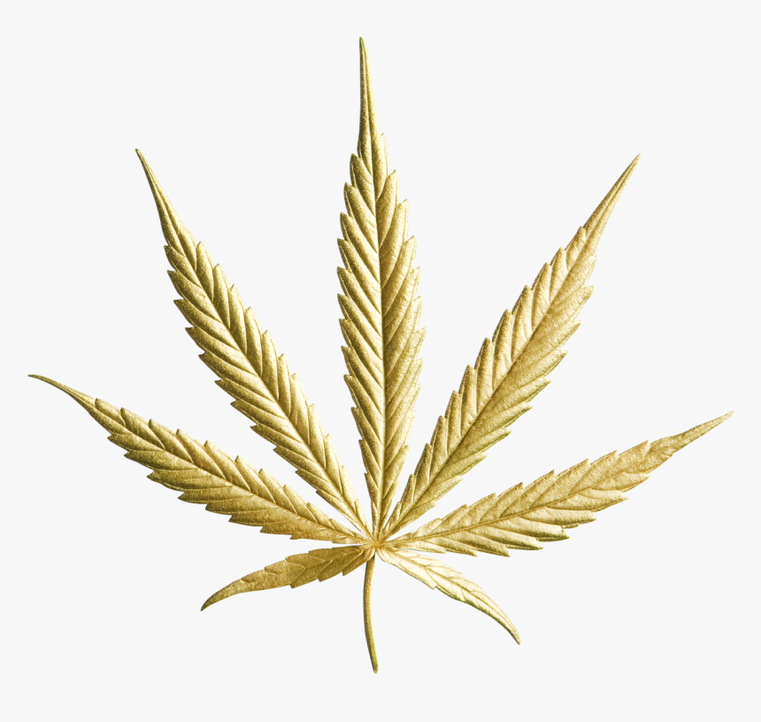 Detail Cannabis Leaf Png Nomer 50