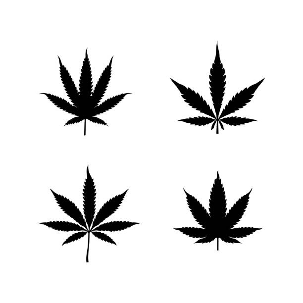 Detail Cannabis Leaf Silhouette Nomer 40