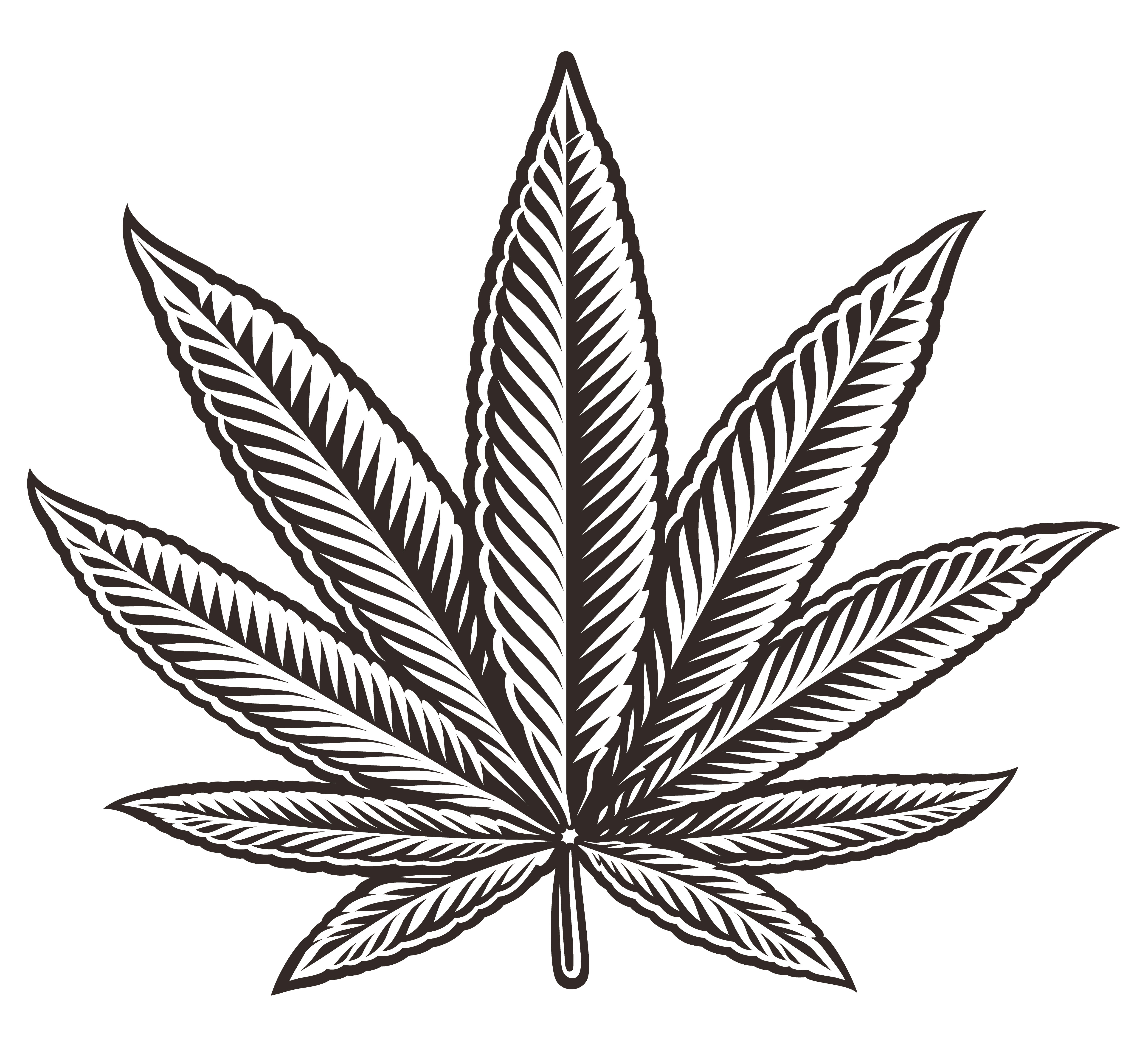 Detail Cannabis Leaf Vector Nomer 12