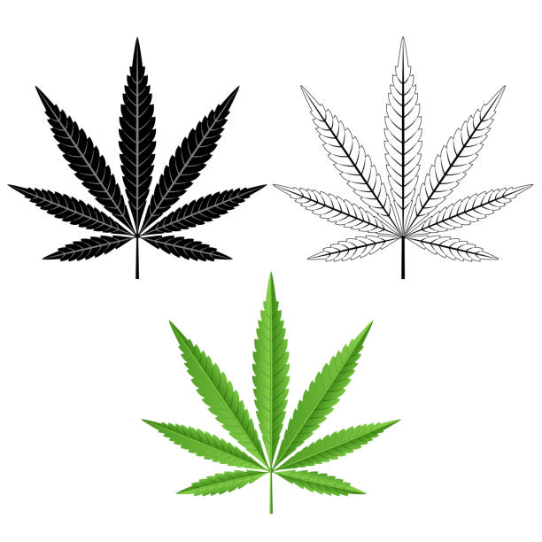 Detail Cannabis Leaf Vector Nomer 15