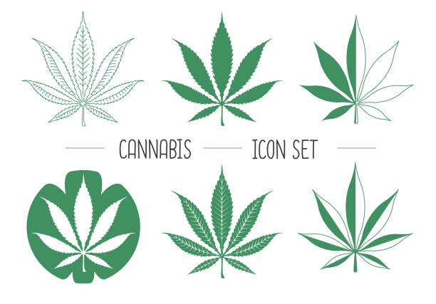 Detail Cannabis Leaf Vector Nomer 49