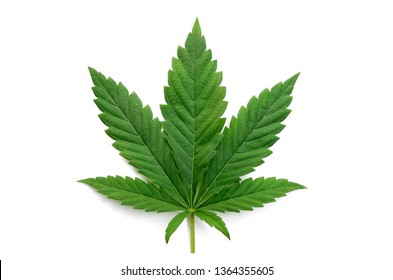 Detail Cannabis Stock Photos Nomer 3