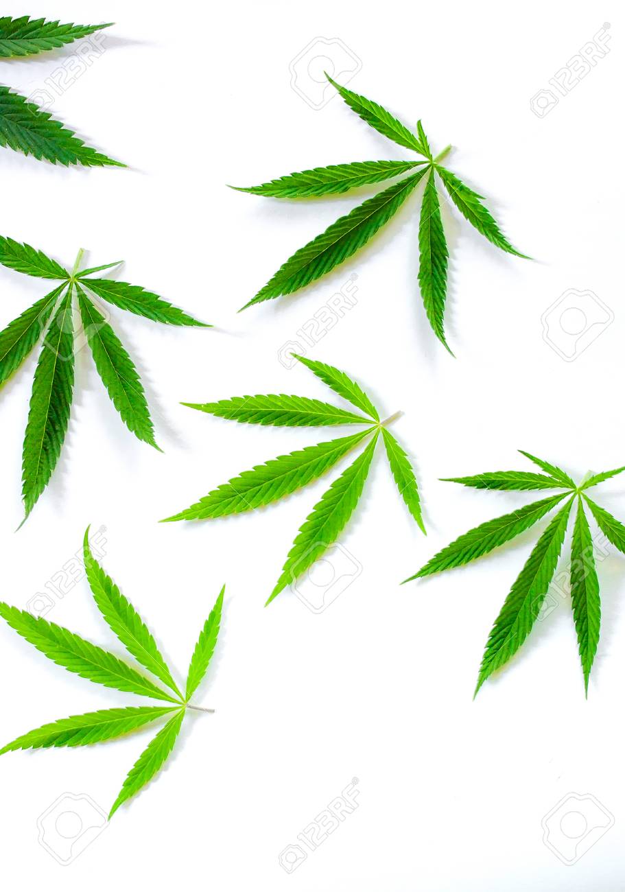 Detail Cannabis Wallpaper Backgrounds Nomer 41