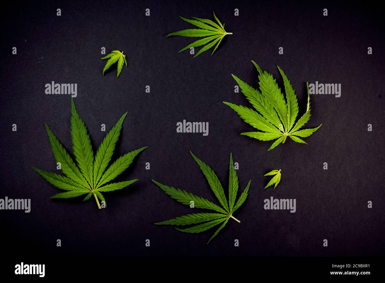 Detail Cannabis Wallpaper Backgrounds Nomer 52