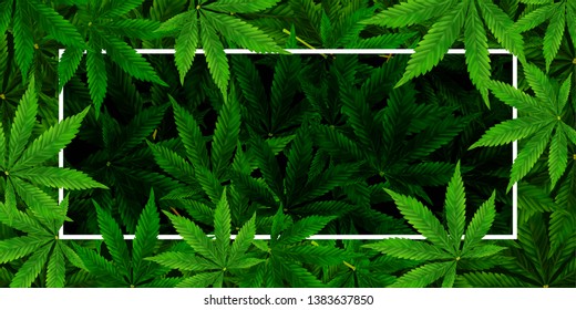 Detail Cannabis Wallpaper Backgrounds Nomer 54