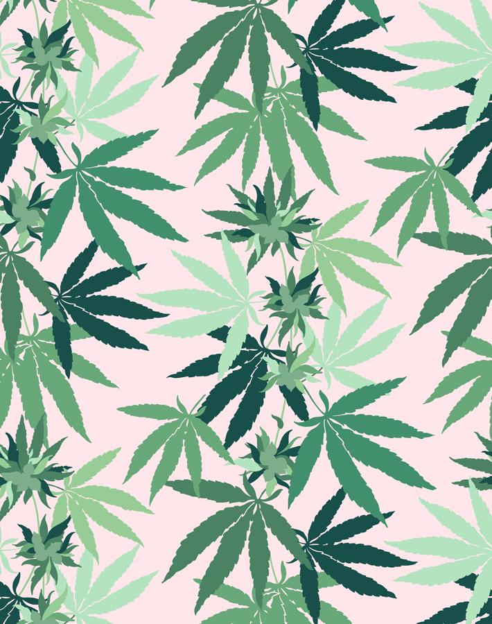 Detail Cannabis Wallpapers Nomer 30