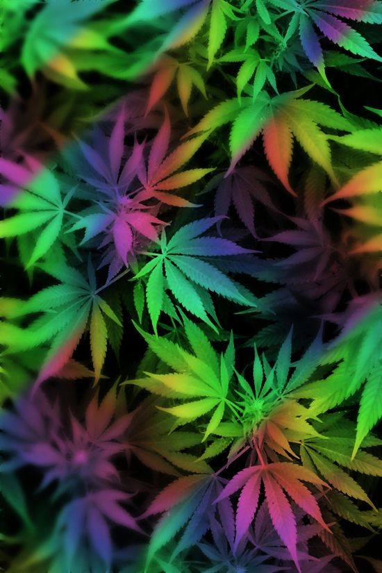 Detail Cannabis Wallpapers Nomer 50