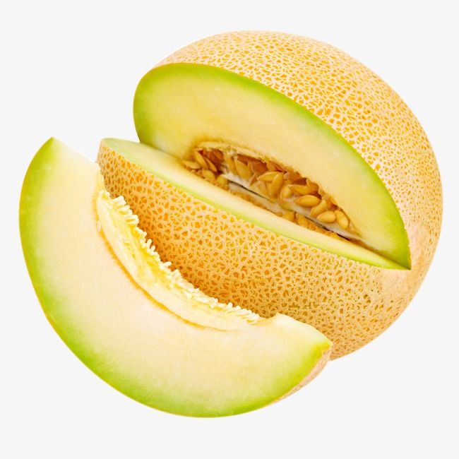 Detail Cantaloupe Png Nomer 17