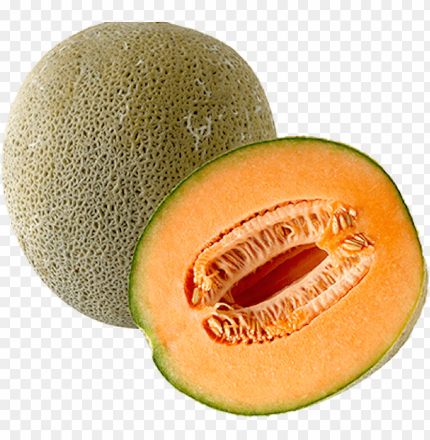 Detail Cantaloupe Png Nomer 4