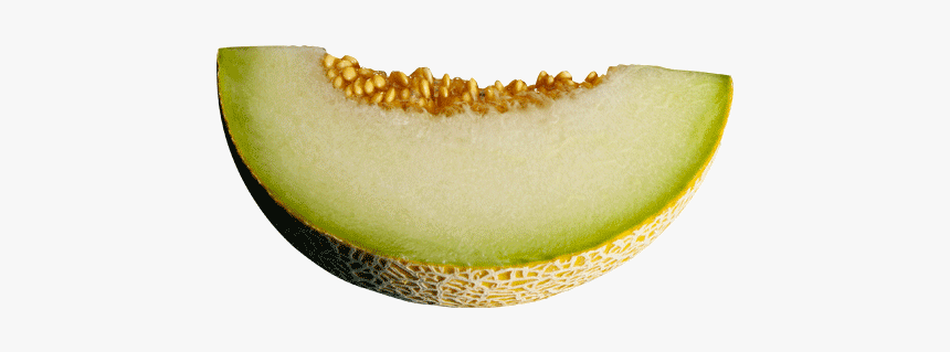 Detail Cantaloupe Png Nomer 39