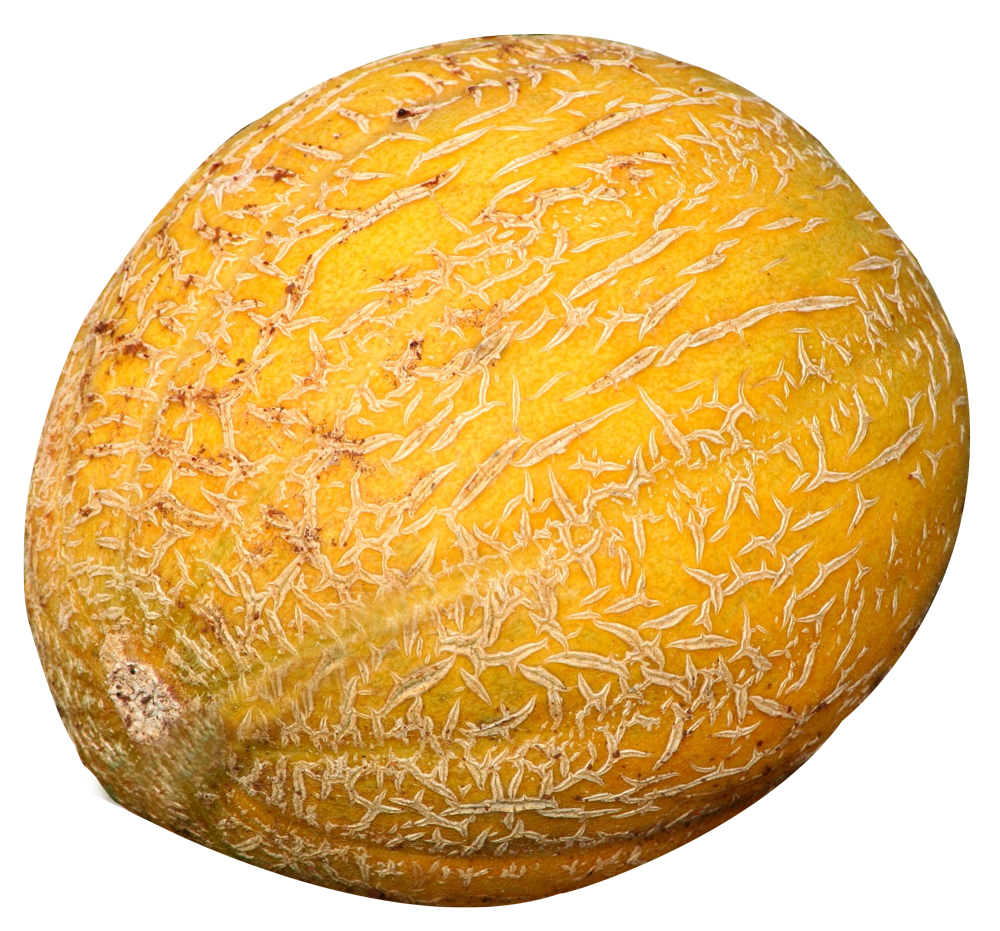 Detail Cantaloupe Png Nomer 42