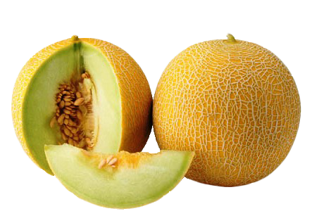 Detail Cantaloupe Png Nomer 46