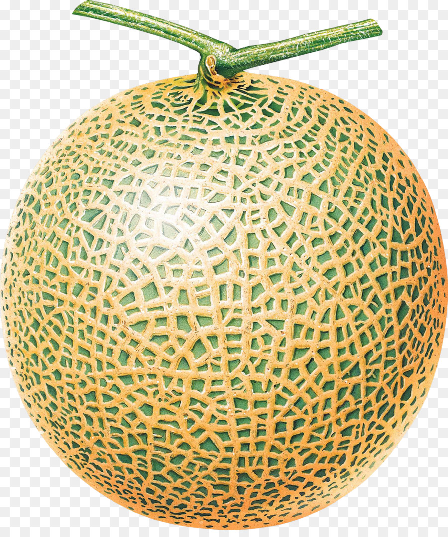 Detail Cantaloupe Png Nomer 50