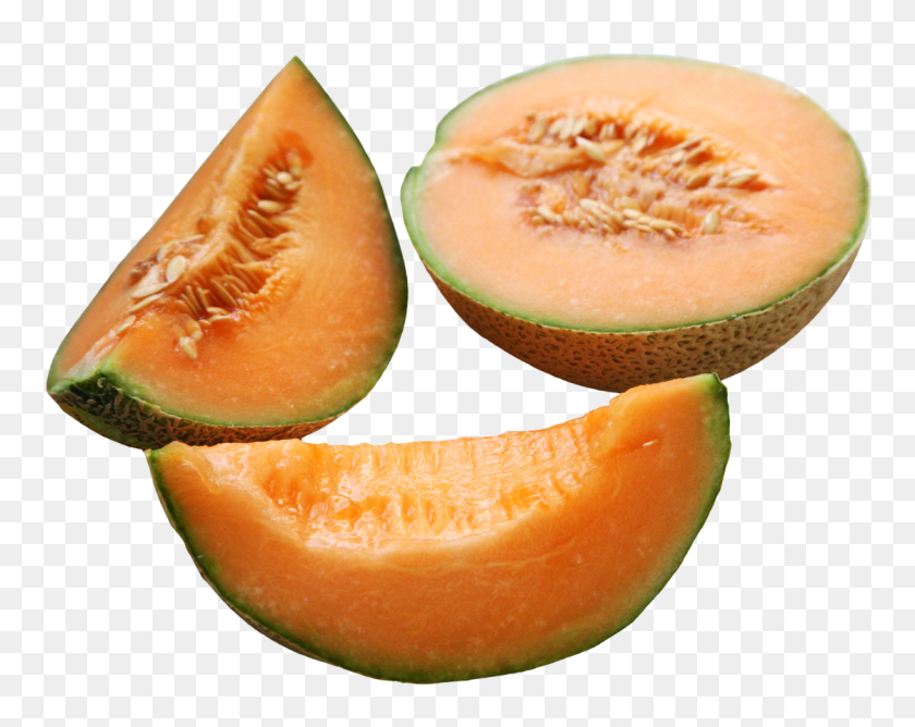 Detail Cantaloupe Png Nomer 52