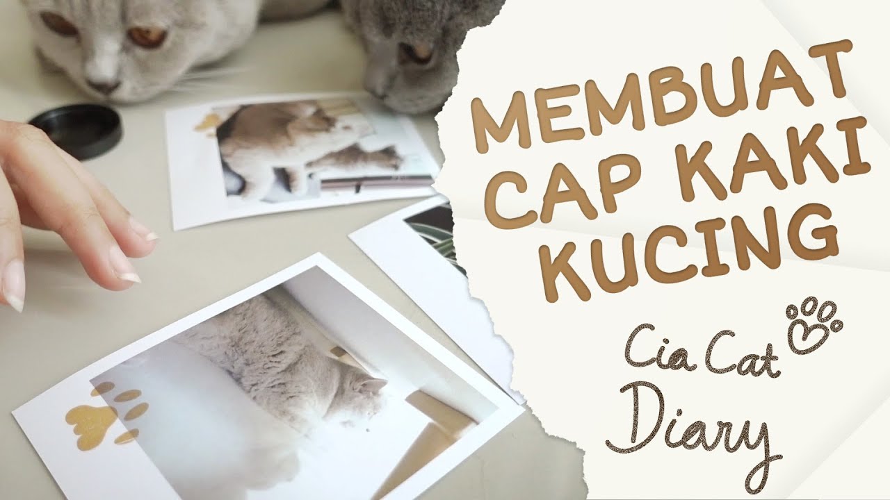 Detail Cap Kaki Kucing Nomer 10