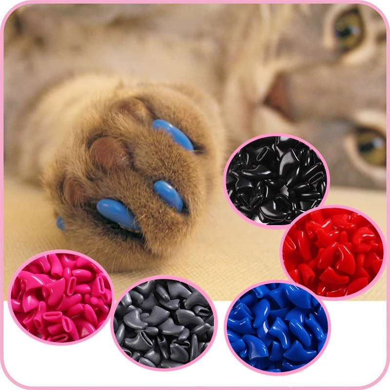Detail Cap Kaki Kucing Nomer 11