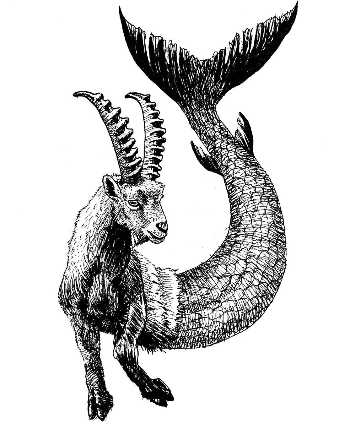 Detail Capricorn Mermaid Goat Nomer 21