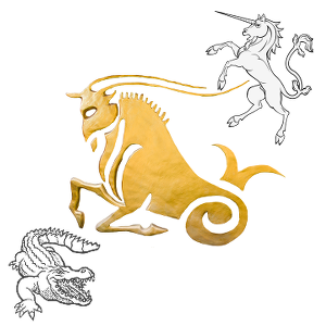 Detail Capricorn Symbols Pictures Nomer 29