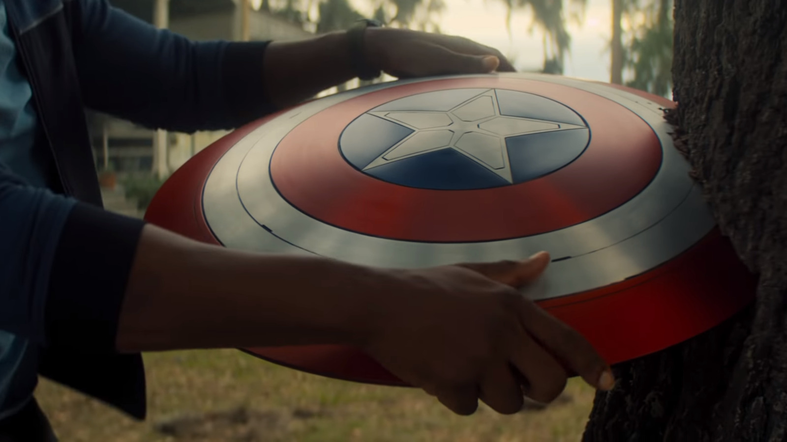 Detail Captain America Shield Pics Nomer 31