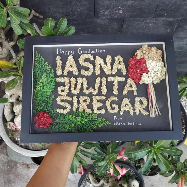 Detail Caption Bunga Edelweis Nomer 38