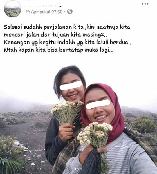 Detail Caption Bunga Edelweis Nomer 6