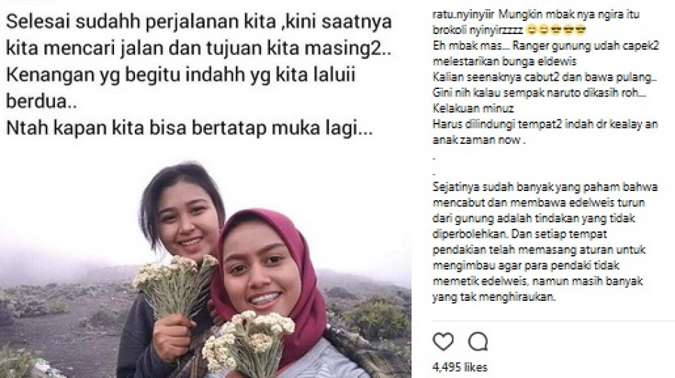 Detail Caption Bunga Edelweis Nomer 8
