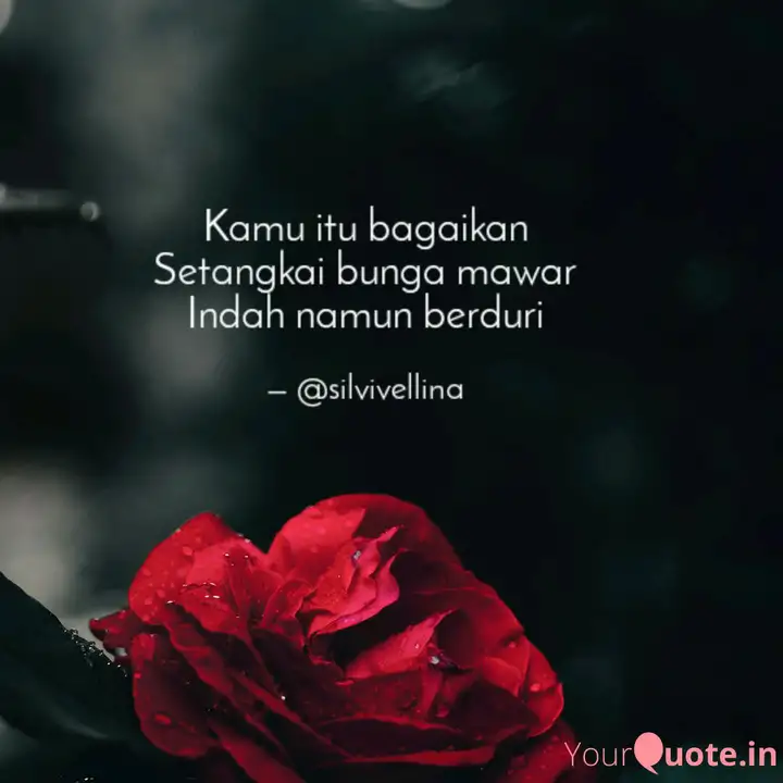 Detail Caption Bunga Mawar Nomer 16