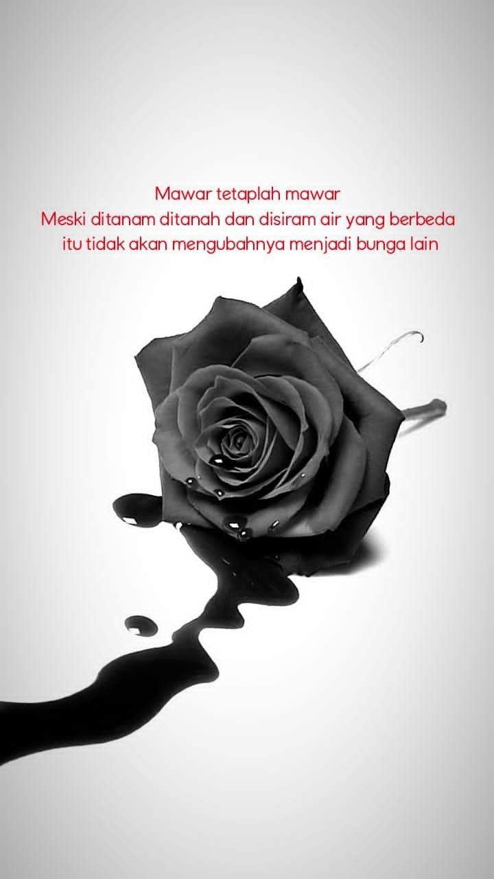 Detail Caption Bunga Mawar Nomer 3