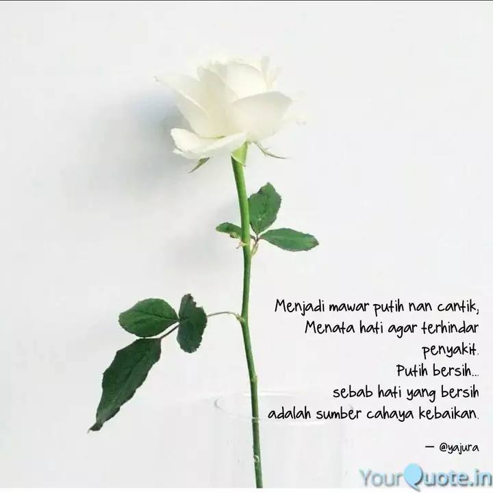 Detail Caption Bunga Mawar Nomer 28