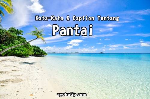 Detail Caption Foto Di Pantai Nomer 42