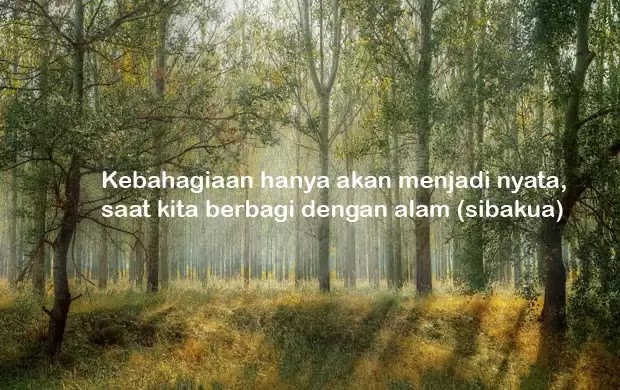 Detail Caption Pemandangan Alam Nomer 25