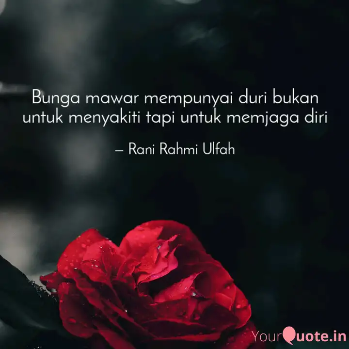 Detail Caption Tentang Bunga Mawar Nomer 51