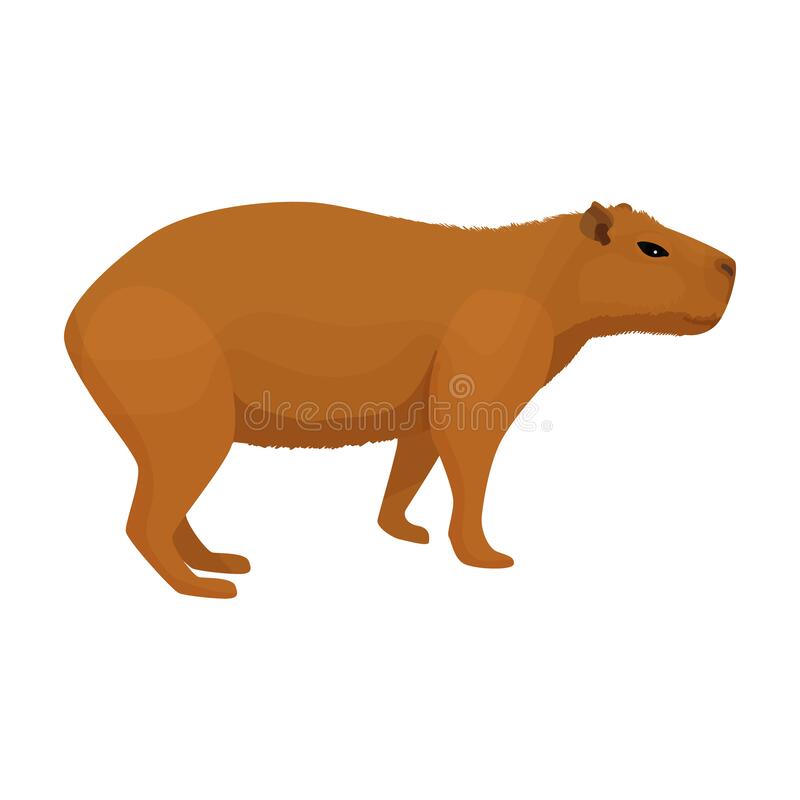 Detail Capybara Transparent Background Nomer 22