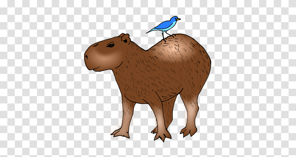 Detail Capybara Transparent Background Nomer 23