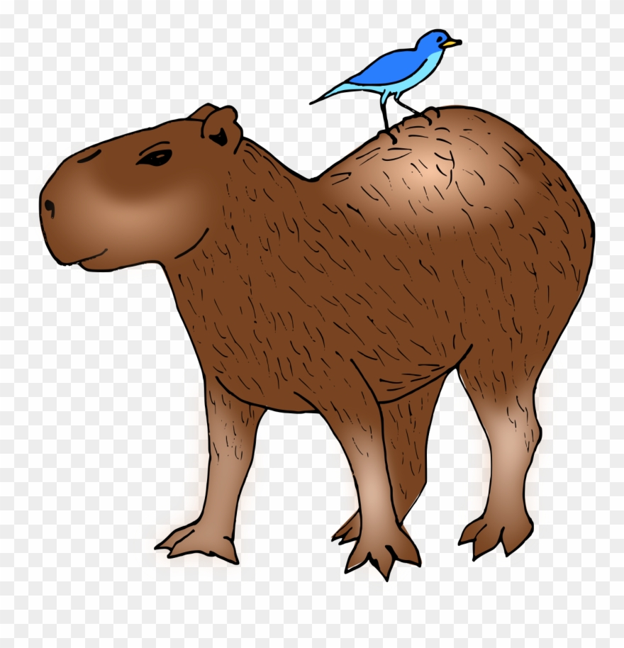 Detail Capybara Transparent Background Nomer 24