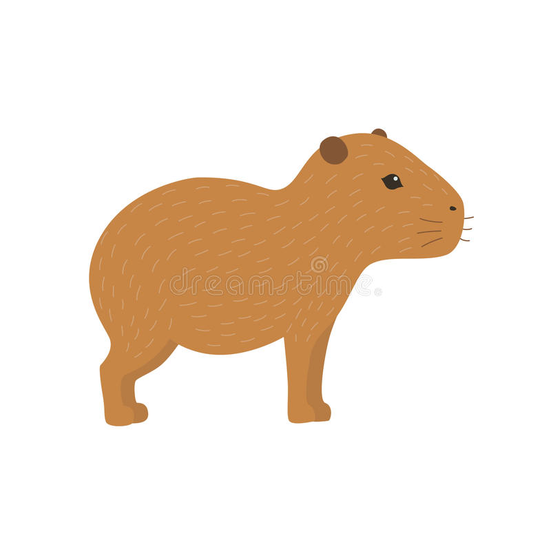 Detail Capybara Transparent Background Nomer 33