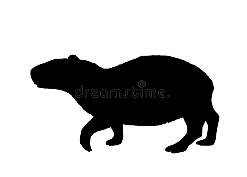 Detail Capybara Transparent Background Nomer 43